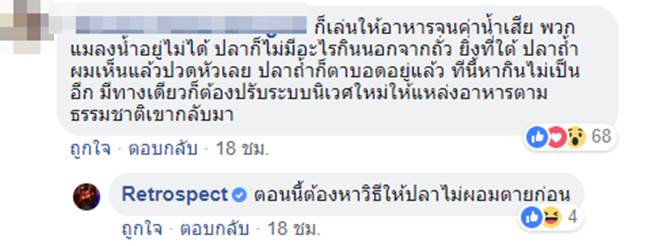 ปลาพลวง น้ำตกพลิ้ว ปลาพลวง น้ำตกพลิ้ว