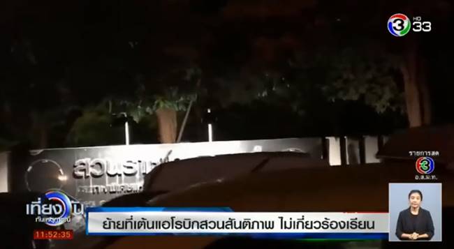 ต้นแอโรบิก ต้นแอโรบิก