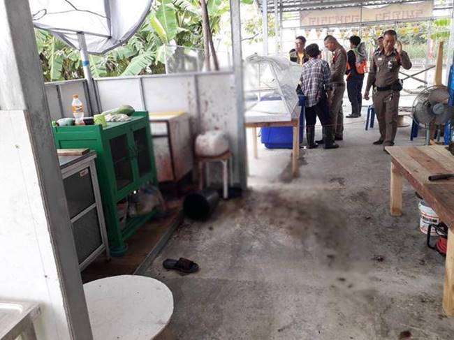 ร้านอาหารในไทย เสิร์ฟเนื้อคนในก๋วยเตี๋ยว ร้านอาหารในไทย เสิร์ฟเนื้อคนในก๋วยเตี๋ยว