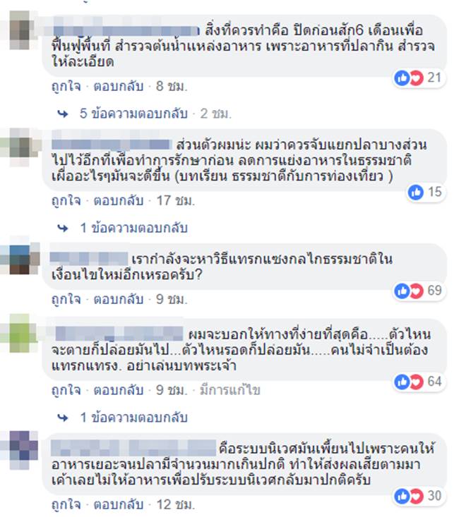 ปลาพลวง น้ำตกพลิ้ว ปลาพลวง น้ำตกพลิ้ว