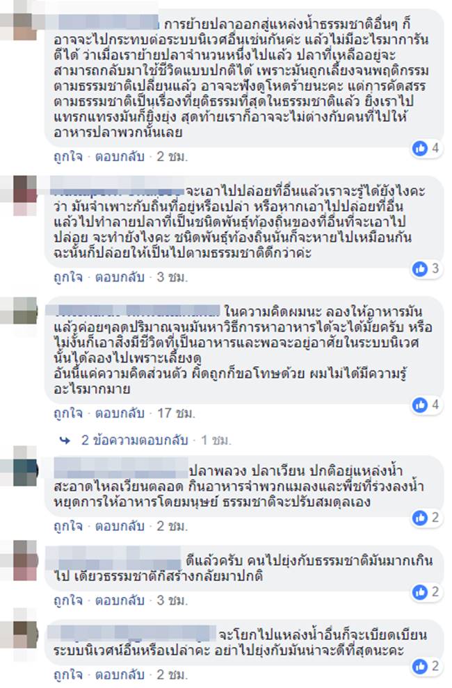 ปลาพลวง น้ำตกพลิ้ว ปลาพลวง น้ำตกพลิ้ว