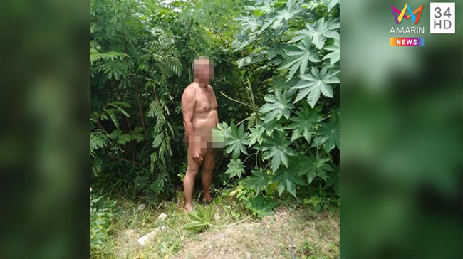 ข่มขืนวัว ข่มขืนวัว