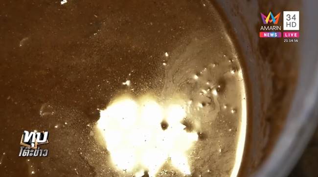 หนอนปลาร้า หนอนปลาร้า