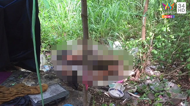 คนตายในป่า คนตายในป่า