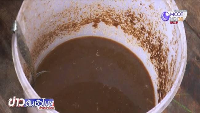 หนอนปลาร้า หนอนปลาร้า