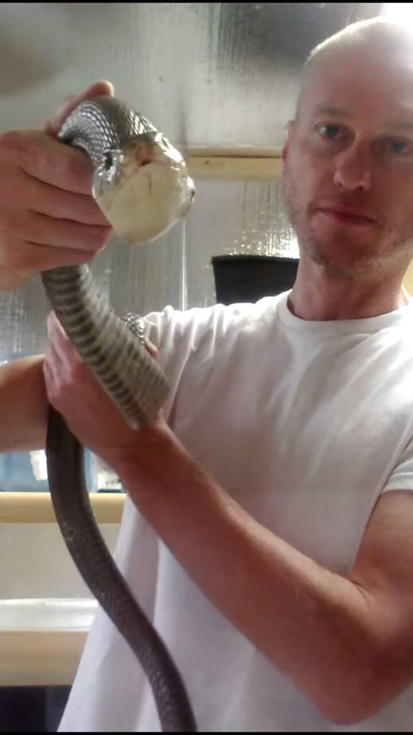 งูกัด งูกัด