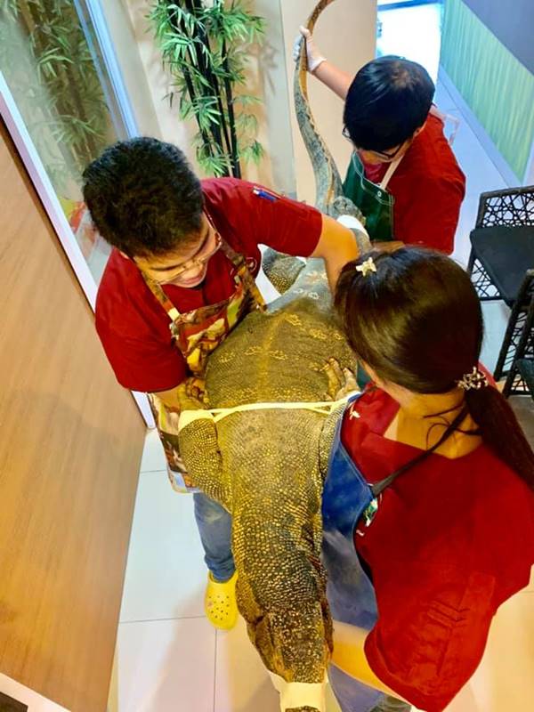 ตัวเงินตัวทอง ตัวเงินตัวทอง