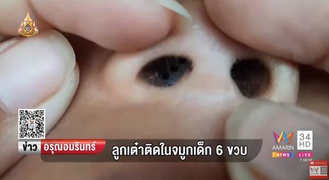 เกมบันไดงู เกมบันไดงู