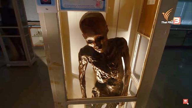 ซีอุย ซีอุย