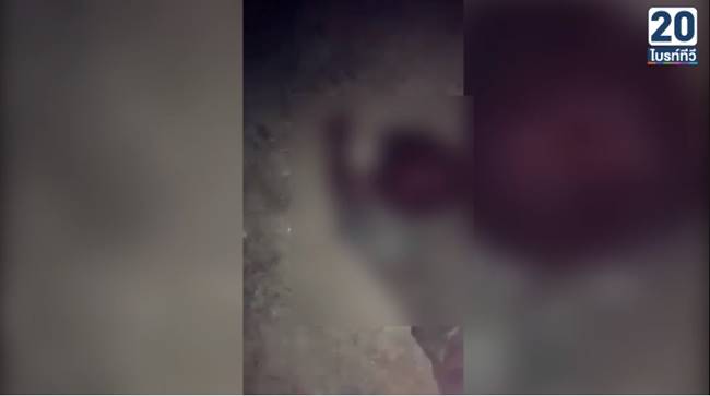 แก๊งอาร์ตลายรุมกระทืบคน แก๊งอาร์ตลายรุมกระทืบคน