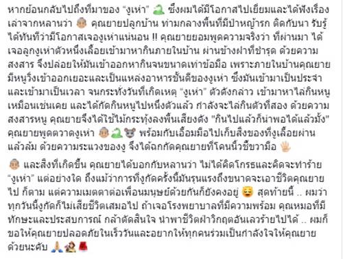 งูเห่าเข้าบ้าน งูเห่าเข้าบ้าน