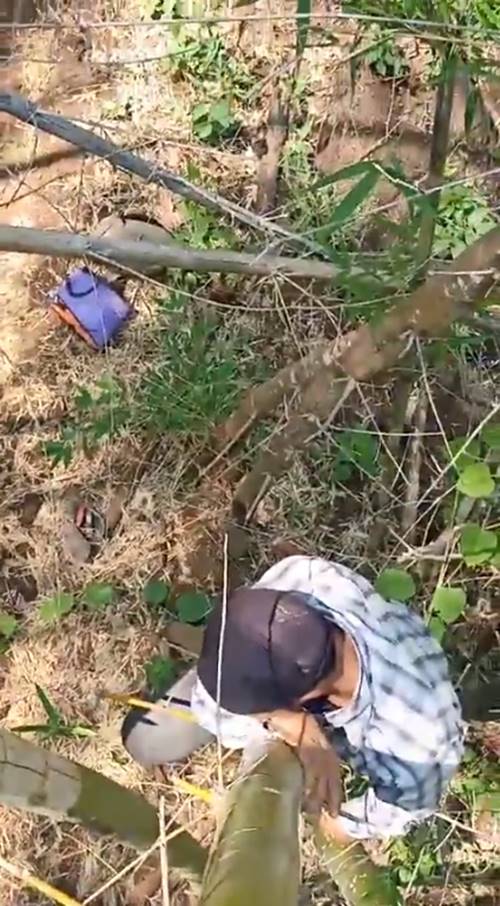 วิธีรับมือ หากเจอ เสือ ในป่า วิธีรับมือ หากเจอ เสือ ในป่า