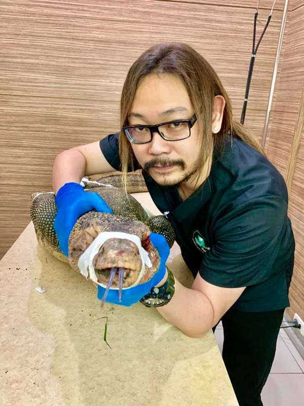 ตัวเงินตัวทอง ตัวเงินตัวทอง