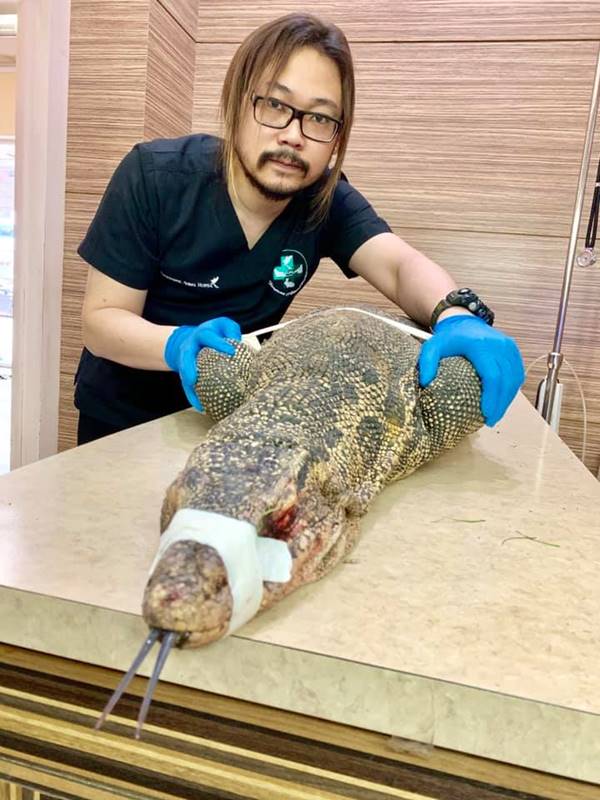 ตัวเงินตัวทอง ตัวเงินตัวทอง