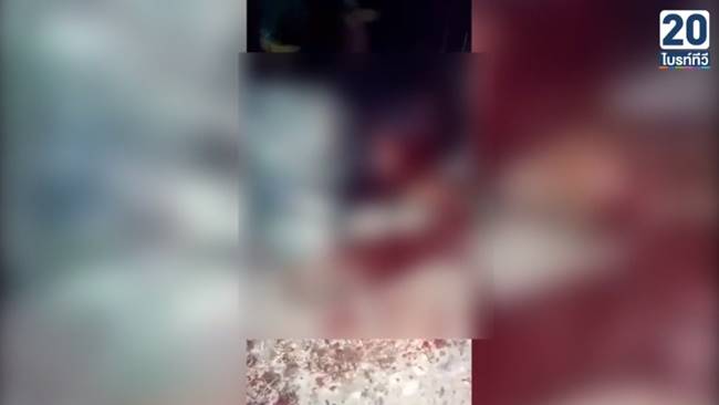 แก๊งอาร์ตลายรุมกระทืบคน แก๊งอาร์ตลายรุมกระทืบคน