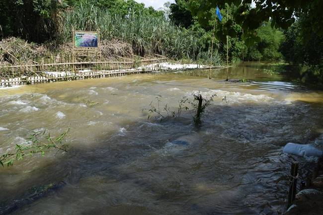 ฝายมีชีวิตหาดทรายทอง ฝายมีชีวิตหาดทรายทอง