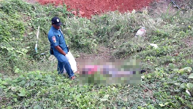 ขับรถชนซาเล้ง ขับรถชนซาเล้ง