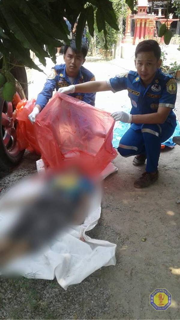 รถกระบะขับทับหัวดับ รถกระบะขับทับหัวดับ
