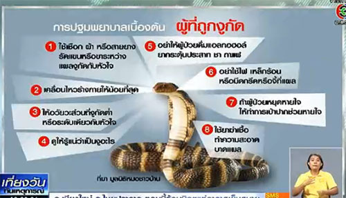 ไขข้อสงสัย ทำไมงูชอบโผล่ขึ้นมาจากชักโครก ไขข้อสงสัย ทำไมงูชอบโผล่ขึ้นมาจากชักโครก