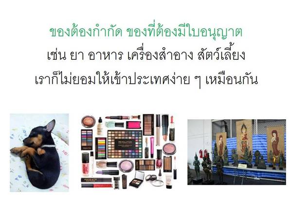 ถล่มเละ ! กรมศุลกากร ทำภาพ info หวังให้คนเข้าใจ สุดท้ายขุดหลุมฝังตัวเอง ถล่มเละ ! กรมศุลกากร ทำภาพ info หวังให้คนเข้าใจ สุดท้ายขุดหลุมฝังตัวเอง