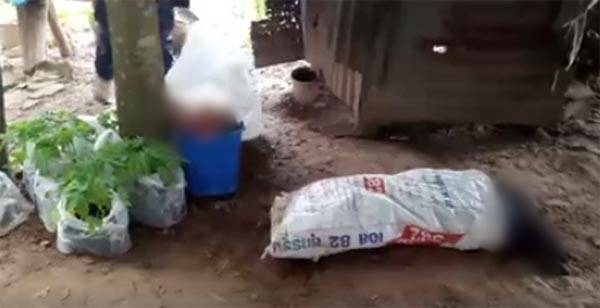 ฆ่าหั่นศพชายวัย 50 สับแขน-ขาแยกชิ้นยัดกระสอบ ตั้งปมฆ่าชิงมรดก ฆ่าหั่นศพชายวัย 50 สับแขน-ขาแยกชิ้นยัดกระสอบ ตั้งปมฆ่าชิงมรดกฆ่าหั่นศพชายวัย 50 สับแขน-ขาแยกชิ้นยัดกระสอบ ตั้งปมฆ่าชิงมรดก