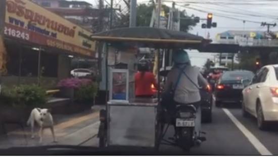 แชร์วนไปค่ะ คลิปพ่อค้าโตเกียวใจดีทำขนมให้น้องหมาระหว่างรถติดไฟแดง แชร์วนไปค่ะ คลิปพ่อค้าโตเกียวใจดีทำขนมให้น้องหมาระหว่างรถติดไฟแดง