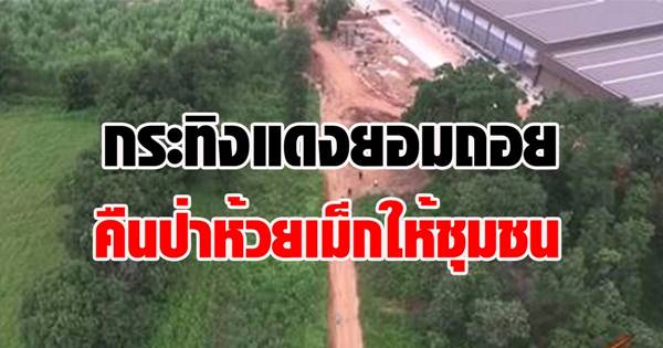 ป่าห้วยเม็ก ป่าห้วยเม็ก