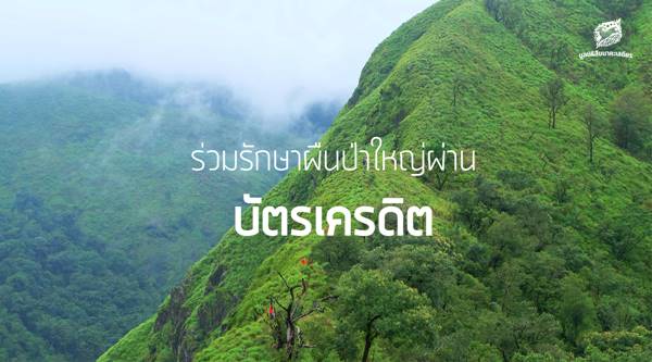 เปิดช่องทางบริจาคสมทบทุน มูลนิธิสืบนาคะเสถียร เปิดช่องทางบริจาคสมทบทุน มูลนิธิสืบนาคะเสถียร