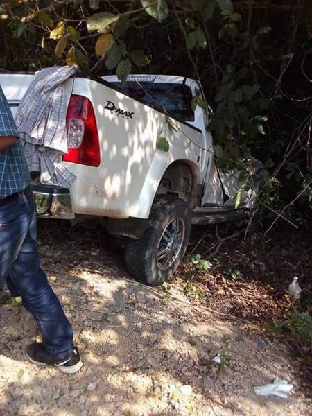 ช้างป่าถูกกระบะชน ช้างป่าถูกกระบะชน