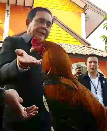 บิ๊กตู่ คุยกับไก่เหลืองหางขาว บิ๊กตู่ คุยกับไก่เหลืองหางขาว