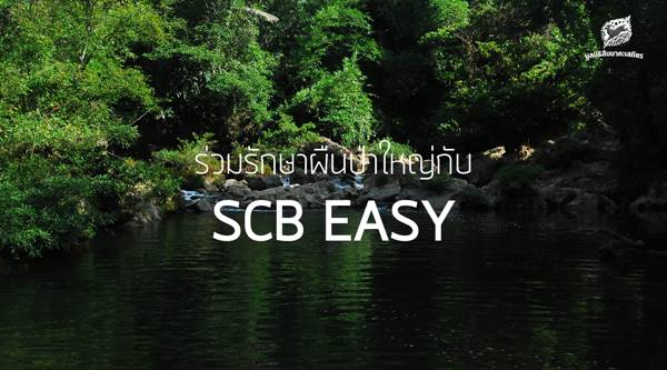 เปิดช่องทางบริจาคสมทบทุน มูลนิธิสืบนาคะเสถียร เปิดช่องทางบริจาคสมทบทุน มูลนิธิสืบนาคะเสถียร