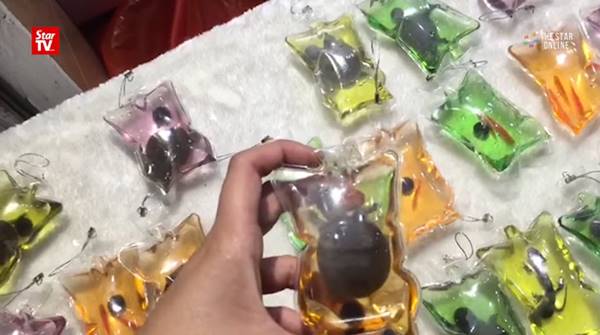 สุดโหดร้าย จีนจับสัตว์ตัวเป็น ๆ มาทำพวงกุญแจขาย อ้างอยู่ได้ 3 เดือนโดยไม่ตาย สุดโหดร้าย จีนจับสัตว์ตัวเป็น ๆ มาทำพวงกุญแจขาย อ้างอยู่ได้ 3 เดือนโดยไม่ตาย