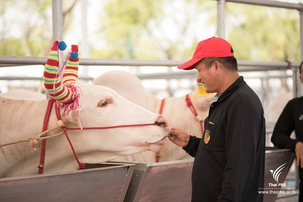 เปิดตัว เปิดตัว