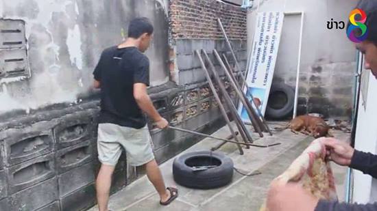 พิทบลูขย้ำเจ้านายเจ็บทั้งตัว หลังเห็นตะคอกลูกเสียงดัง เข็ดไม่คิดเลี้ยงต่อ พิทบลูขย้ำเจ้านายเจ็บทั้งตัว หลังเห็นตะคอกลูกเสียงดัง เข็ดไม่คิดเลี้ยงต่อ