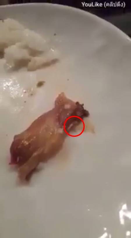 เจอหนอนในยำคอหมูย่าง เจอหนอนในยำคอหมูย่าง