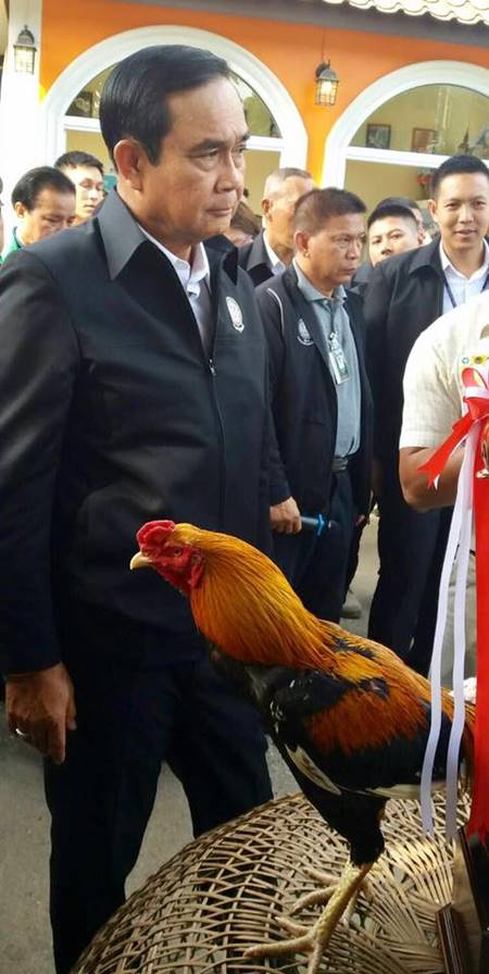 บิ๊กตู่ คุยกับไก่เหลืองหางขาว บิ๊กตู่ คุยกับไก่เหลืองหางขาว