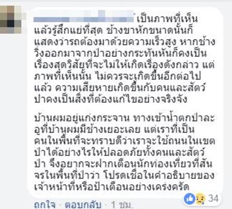 ช้างป่าถูกกระบะชน ช้างป่าถูกกระบะชน