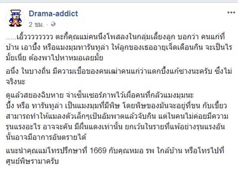 กินแมงมุมยักษ์ กินแมงมุมยักษ์