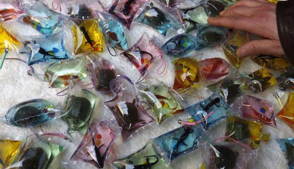 สุดโหดร้าย จีนจับสัตว์ตัวเป็น ๆ มาทำพวงกุญแจขาย อ้างอยู่ได้ 3 เดือนโดยไม่ตาย สุดโหดร้าย จีนจับสัตว์ตัวเป็น ๆ มาทำพวงกุญแจขาย อ้างอยู่ได้ 3 เดือนโดยไม่ตาย