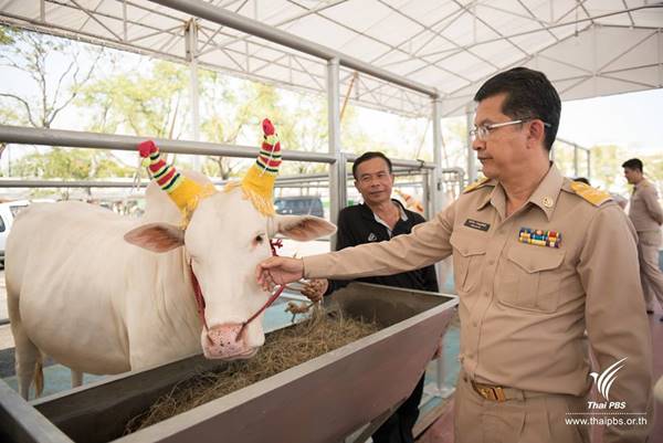 เปิดตัว เปิดตัว