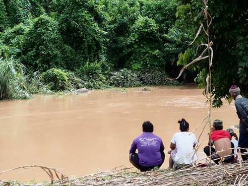 เร่งช่วยลูกช้างป่า ถูกน้ำซัดลอยคอในคลอง เร่งช่วยลูกช้างป่า ถูกน้ำซัดลอยคอในคลอง