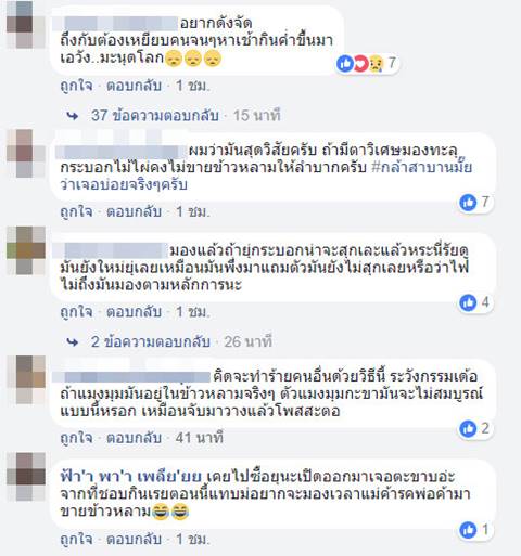 ข้าวหลาม ข้าวหลาม
