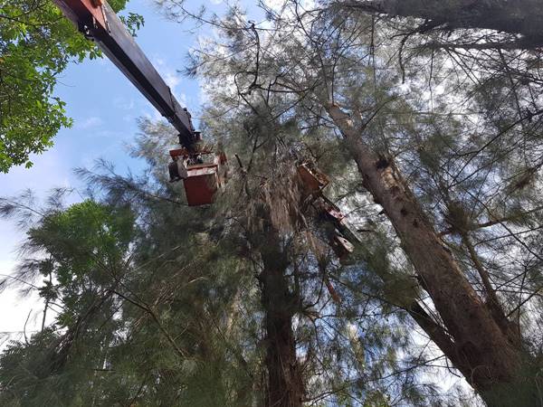 เครื่องบินขับไล่ตก เครื่องบินขับไล่ตก