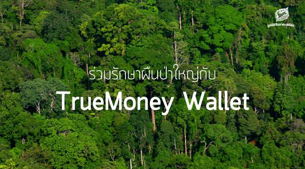 เปิดช่องทางบริจาคสมทบทุน มูลนิธิสืบนาคะเสถียร เปิดช่องทางบริจาคสมทบทุน มูลนิธิสืบนาคะเสถียร