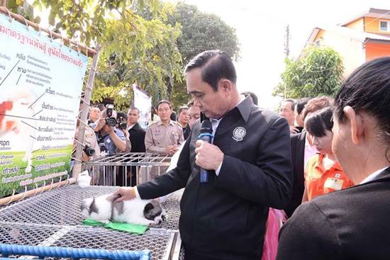 บิ๊กตู่ คุยกับไก่เหลืองหางขาว บิ๊กตู่ คุยกับไก่เหลืองหางขาว