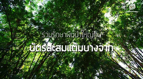 เปิดช่องทางบริจาคสมทบทุน มูลนิธิสืบนาคะเสถียร เปิดช่องทางบริจาคสมทบทุน มูลนิธิสืบนาคะเสถียร