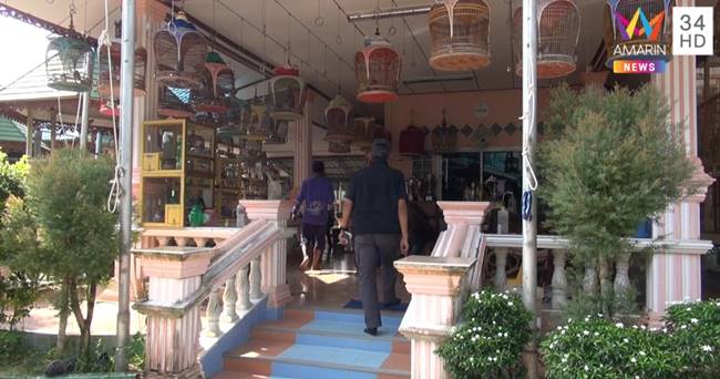 ยิง 15 ศพ ยิง 15 ศพ