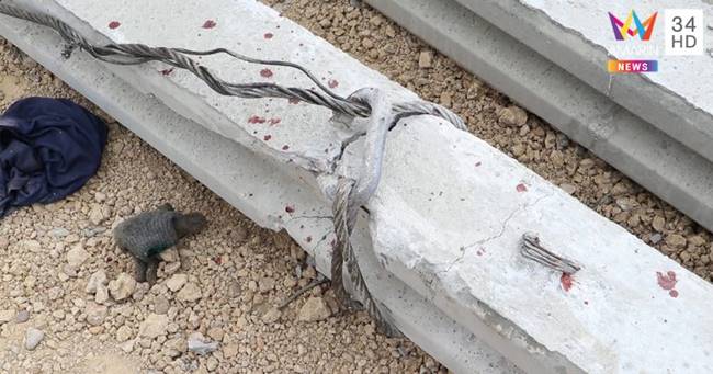 เสาเข็มล้ม เสาเข็มล้ม