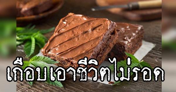 ขนมบราวนี่ใส่กัญชา ขนมบราวนี่ใส่กัญชา