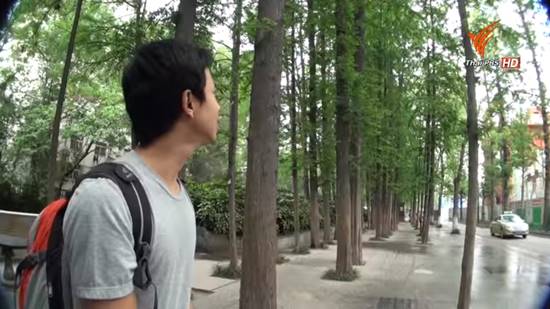 แชร์สนั่น ภาพเปรียบเทียบกรุงเทพฯ 5 ปีก่อน-ปัจจุบัน ต้นไม้หายไปไหน ? แชร์สนั่น ภาพเปรียบเทียบกรุงเทพฯ 5 ปีก่อน-ปัจจุบัน ต้นไม้หายไปไหน ?